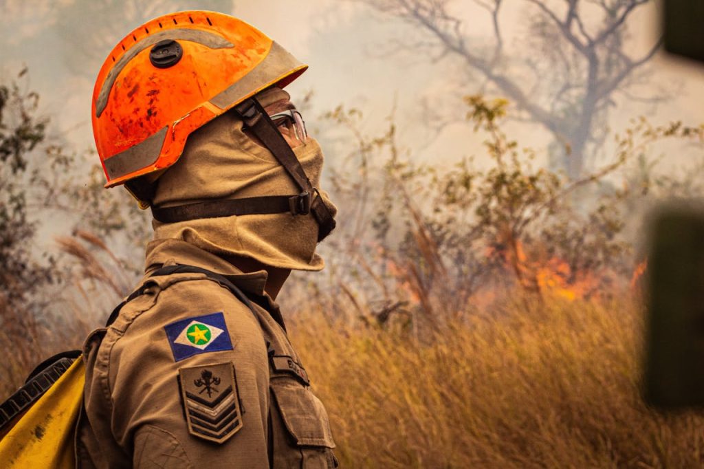 Firefighter in protective gear combats a wildfire in Mato Grosso, Brazil. Courageous environmental effort.